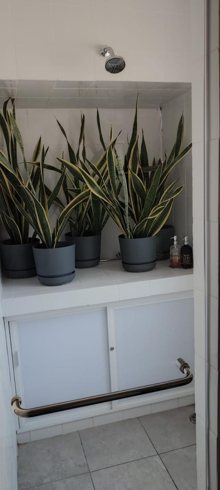 Papaya Condo Acapulco Diamante -Solo Adultos 외부 사진